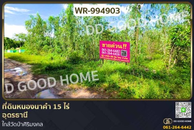 ที่ดินหนองนาคำ 15 ไร่ อุดรธานี ใกล้วัดป่าศิริมงคล-1