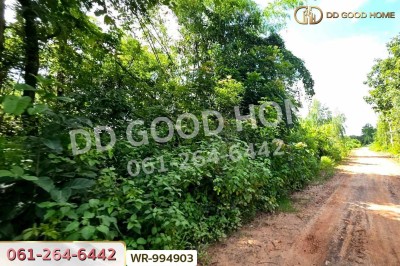 ที่ดินหนองนาคำ 15 ไร่ อุดรธานี ใกล้วัดป่าศิริมงคล-7