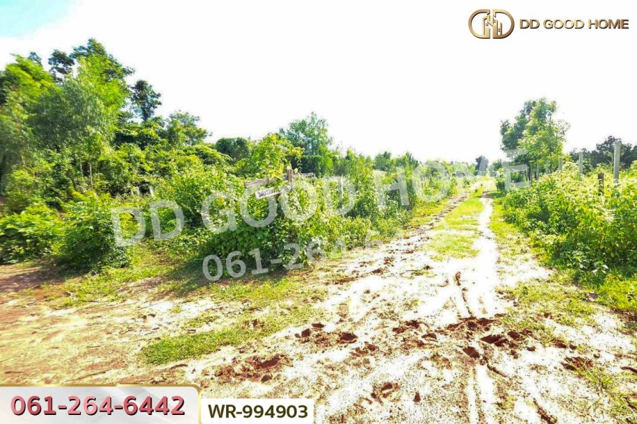 ที่ดินหนองนาคำ 15 ไร่ อุดรธานี ใกล้วัดป่าศิริมงคล-6