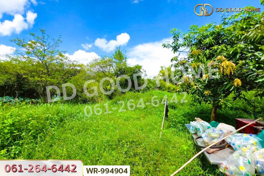 ที่ดินมีชัย 190.4 ตร.ว. หนองคาย ใกล้สะพานมิตรภาพไทย-ลาว แห่งที่ 1 (หนองคาย–เวียงจันทน์)-3