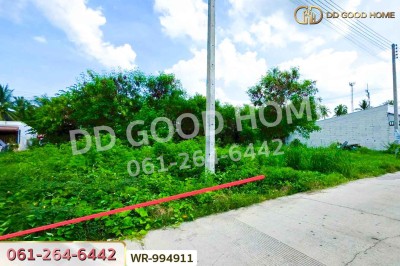 ที่ดินบ้านแพ้ว 22.8 ตร.ว. โครงการปวริศา สมุทรสาคร ใกล้โรงพยาบาลบ้านแพ้ว (องค์การมหาชน)-8
