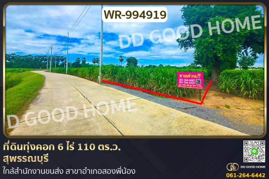 ที่ดินทุ่งคอก 6 ไร่ 110 ตร.ว. สุพรรณบุรี ใกล้สำนักงานขนส่ง สาขาอำเภอสองพี่น้อง-1