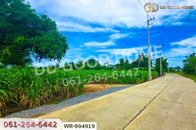 ที่ดินทุ่งคอก 6 ไร่ 110 ตร.ว. สุพรรณบุรี ใกล้สำนักงานขนส่ง สาขาอำเภอสองพี่น้อง-7
