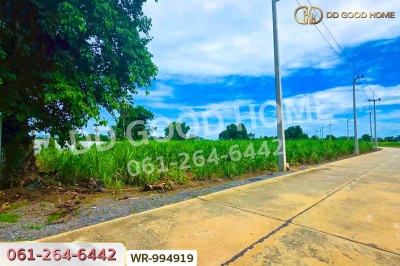ที่ดินทุ่งคอก 6 ไร่ 110 ตร.ว. สุพรรณบุรี ใกล้สำนักงานขนส่ง สาขาอำเภอสองพี่น้อง-6