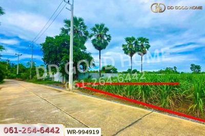 ที่ดินทุ่งคอก 6 ไร่ 110 ตร.ว. สุพรรณบุรี ใกล้สำนักงานขนส่ง สาขาอำเภอสองพี่น้อง-5