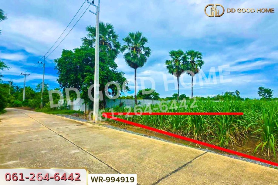 ที่ดินทุ่งคอก 6 ไร่ 110 ตร.ว. สุพรรณบุรี ใกล้สำนักงานขนส่ง สาขาอำเภอสองพี่น้อง-5