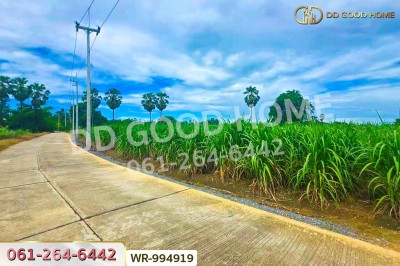 ที่ดินทุ่งคอก 6 ไร่ 110 ตร.ว. สุพรรณบุรี ใกล้สำนักงานขนส่ง สาขาอำเภอสองพี่น้อง-3