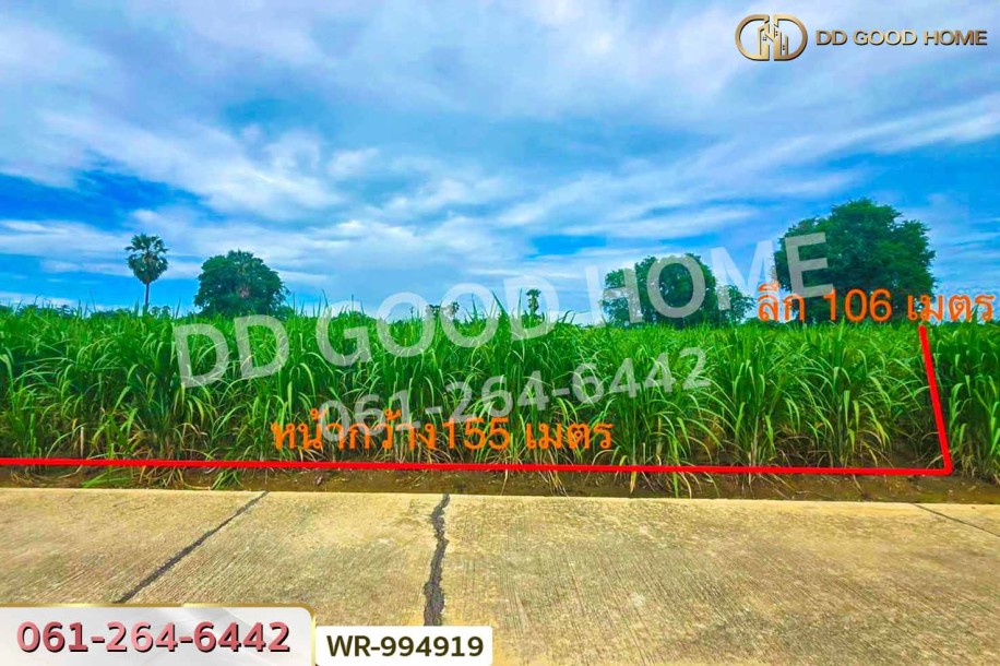 ที่ดินทุ่งคอก 6 ไร่ 110 ตร.ว. สุพรรณบุรี ใกล้สำนักงานขนส่ง สาขาอำเภอสองพี่น้อง-2