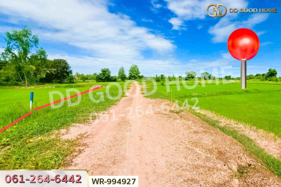 ที่ดินหันคา 149 ไร่ 114 ตร.ว. ชัยนาท ใกล้โรงพยาบาลหันคา-9