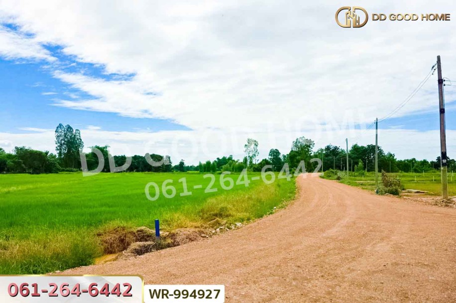 ที่ดินหันคา 149 ไร่ 114 ตร.ว. ชัยนาท ใกล้โรงพยาบาลหันคา-8