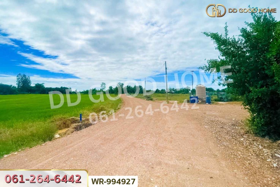 ที่ดินหันคา 149 ไร่ 114 ตร.ว. ชัยนาท ใกล้โรงพยาบาลหันคา-5