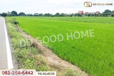 ที่ดินไทรน้อย 200 ตร.ว. นนทบุรี ใกล้วัดปลายคลองขุนศรี-3