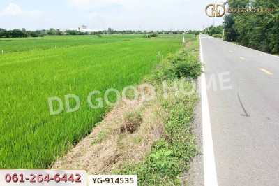 ที่ดินไทรน้อย 200 ตร.ว. นนทบุรี ใกล้วัดปลายคลองขุนศรี-2