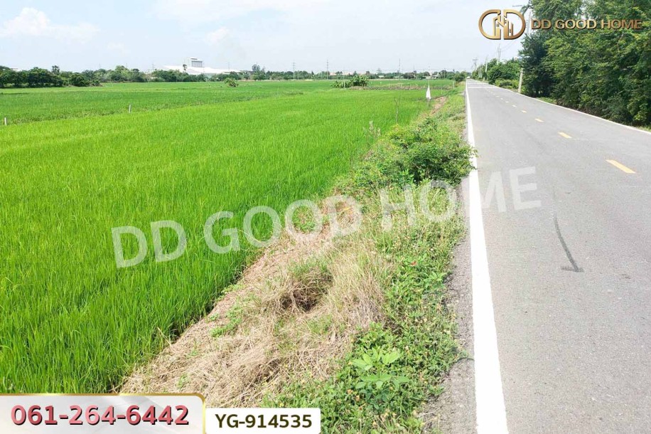 ที่ดินไทรน้อย 200 ตร.ว. นนทบุรี ใกล้วัดปลายคลองขุนศรี-2