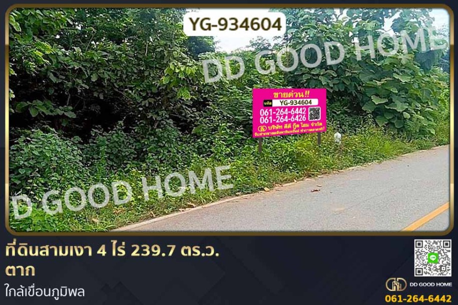 ที่ดินสามเงา 4 ไร่ 239.7 ตร.ว. ตาก ใกล้เขื่อนภูมิพล-1