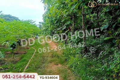 ที่ดินสามเงา 4 ไร่ 239.7 ตร.ว. ตาก ใกล้เขื่อนภูมิพล-3