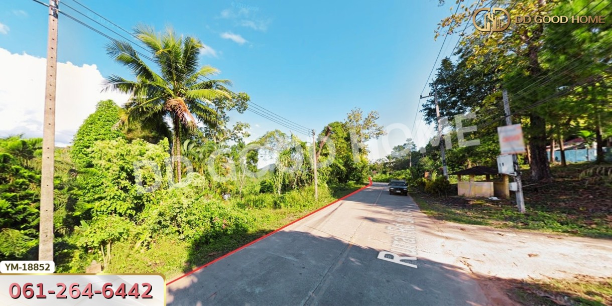 ที่ดิน อ.ฝาง 294 ตร.ว. ติดถนนชนบท 3059 เชียงใหม่-8