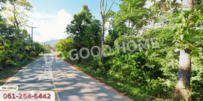 ที่ดิน อ.ฝาง 294 ตร.ว. ติดถนนชนบท 3059 เชียงใหม่-7