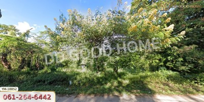 ที่ดิน อ.ฝาง 294 ตร.ว. ติดถนนชนบท 3059 เชียงใหม่-6