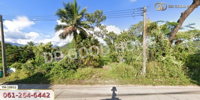 ที่ดิน อ.ฝาง 294 ตร.ว. ติดถนนชนบท 3059 เชียงใหม่-5