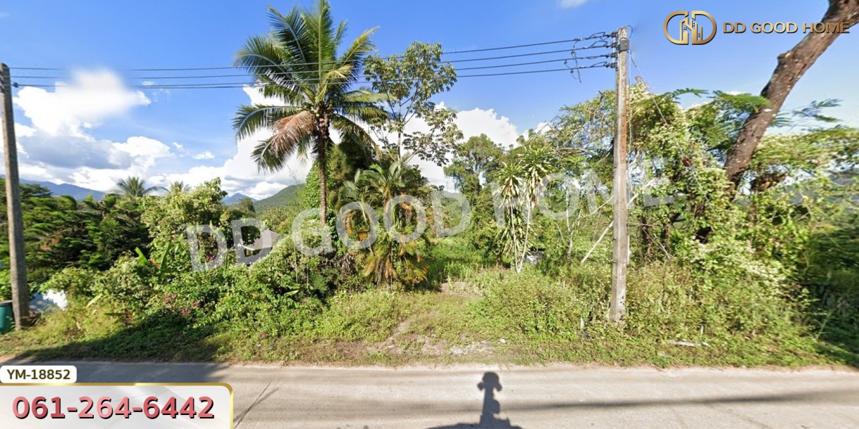 ที่ดิน อ.ฝาง 294 ตร.ว. ติดถนนชนบท 3059 เชียงใหม่-5