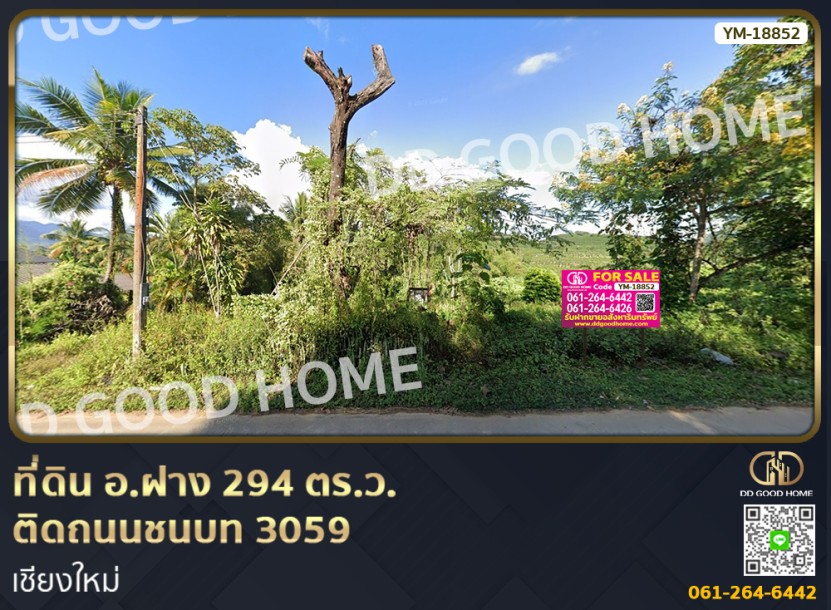 ที่ดิน อ.ฝาง 294 ตร.ว. ติดถนนชนบท 3059 เชียงใหม่-1