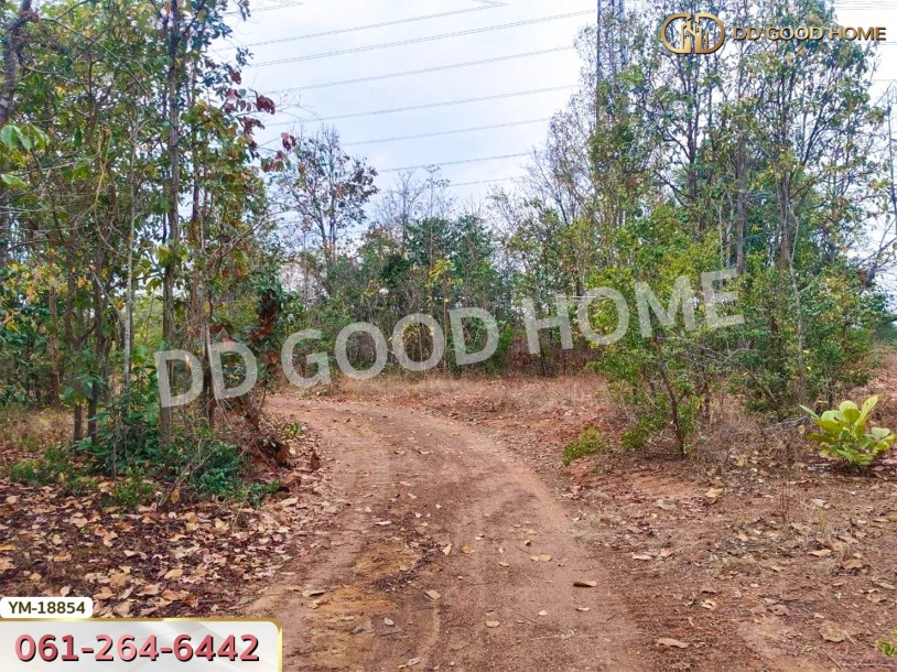 ที่ดิน อ.เมืองลำปาง 13 ไร่ 374 ตร.ว. ลำปาง-9