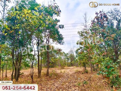 ที่ดิน อ.เมืองลำปาง 13 ไร่ 374 ตร.ว. ลำปาง-6