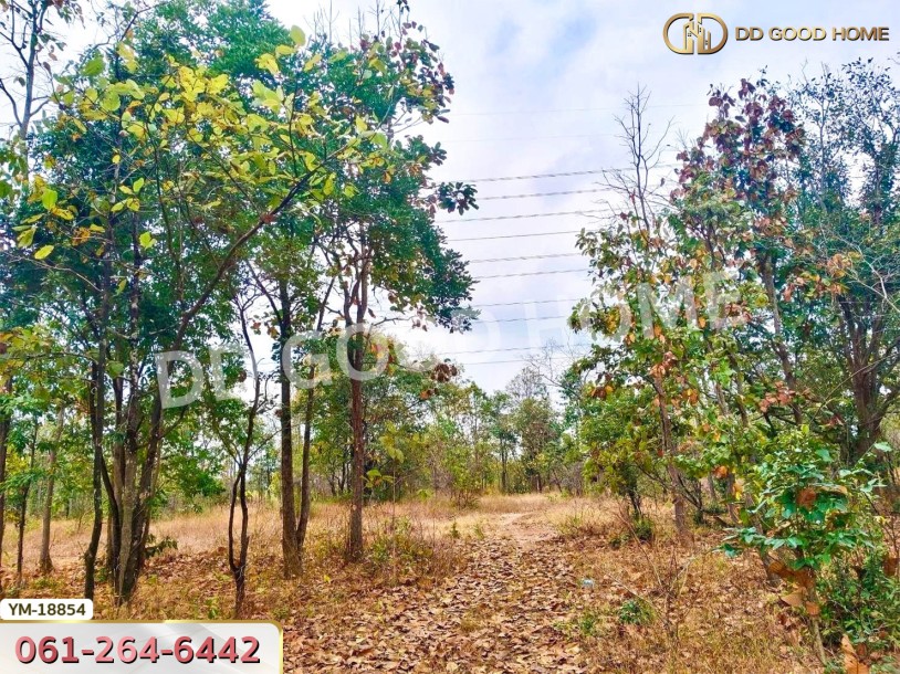 ที่ดิน อ.เมืองลำปาง 13 ไร่ 374 ตร.ว. ลำปาง-6