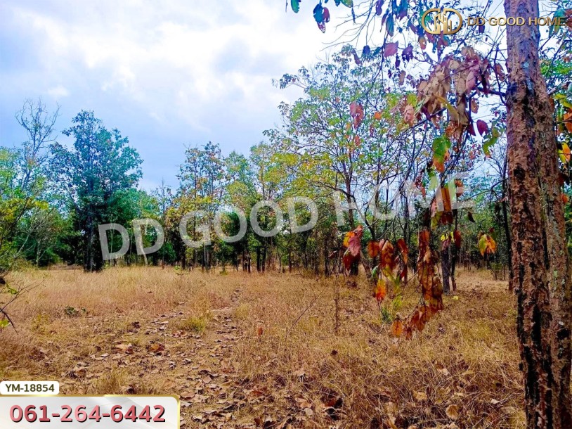 ที่ดิน อ.เมืองลำปาง 13 ไร่ 374 ตร.ว. ลำปาง-5