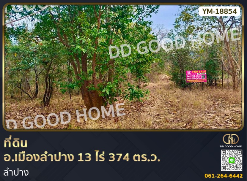ที่ดิน อ.เมืองลำปาง 13 ไร่ 374 ตร.ว. ลำปาง-1