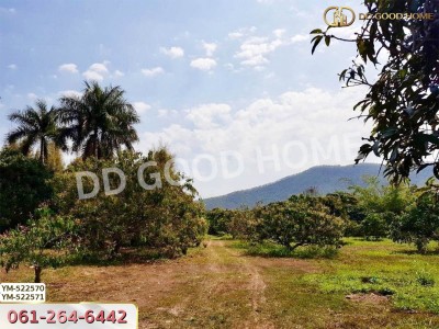 ที่ดิน อ.เมืองลำพูน 28 ไร่ 301 ตร.ว. ลำพูน-8