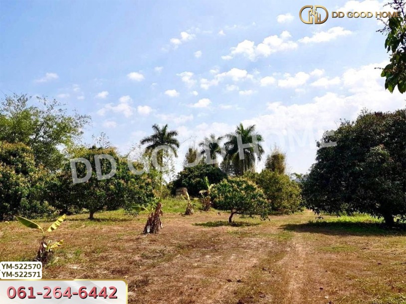 ที่ดิน อ.เมืองลำพูน 28 ไร่ 301 ตร.ว. ลำพูน-7