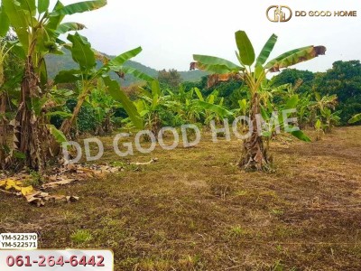 ที่ดิน อ.เมืองลำพูน 28 ไร่ 301 ตร.ว. ลำพูน-6