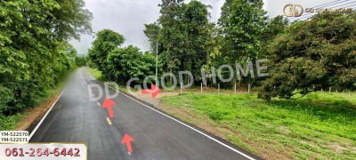 ที่ดิน อ.เมืองลำพูน 28 ไร่ 301 ตร.ว. ลำพูน-5