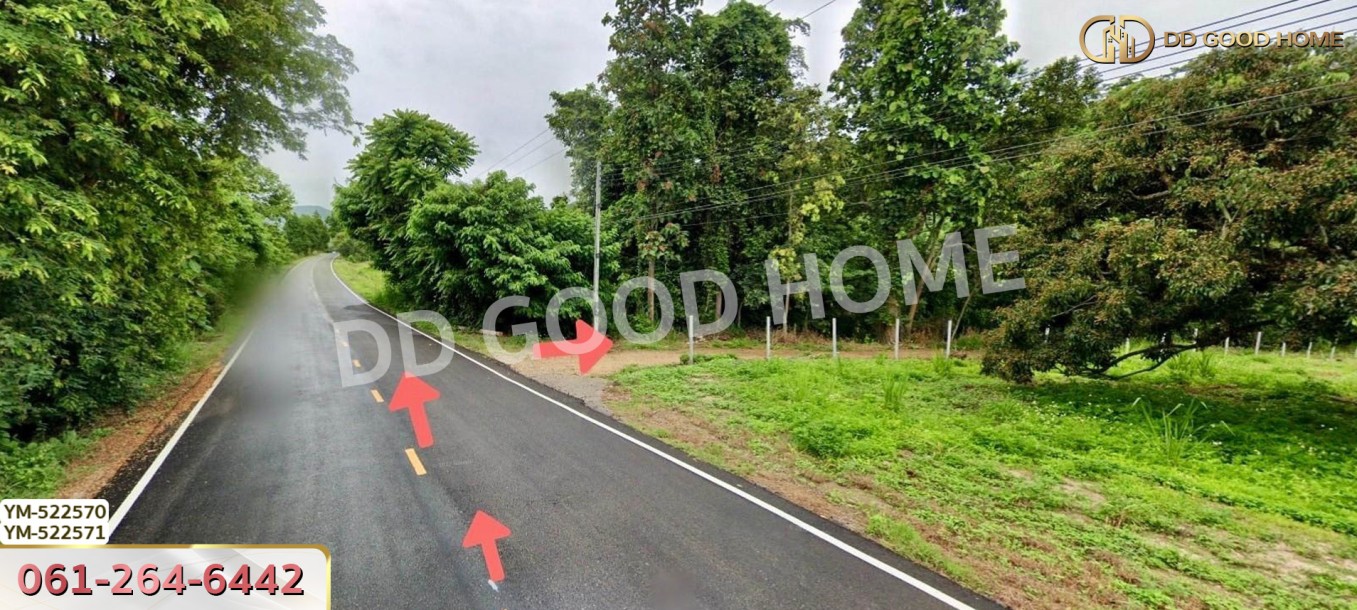 ที่ดิน อ.เมืองลำพูน 28 ไร่ 301 ตร.ว. ลำพูน-5