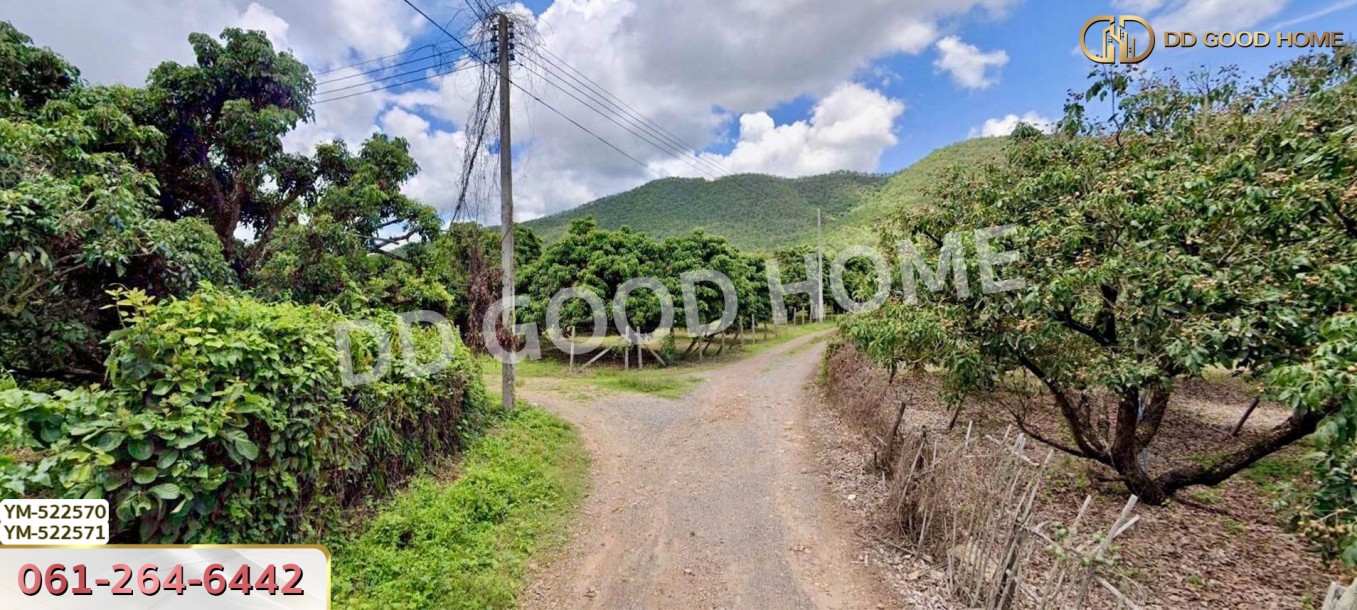 ที่ดิน อ.เมืองลำพูน 28 ไร่ 301 ตร.ว. ลำพูน-3