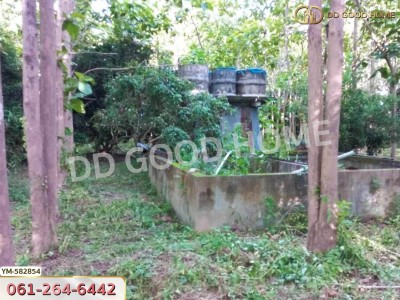 ที่ดิน อ.พาน 9 ไร่ 54 ตร.ว. เชียงราย