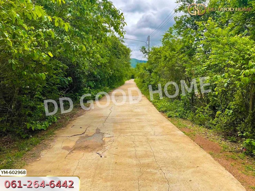 ที่ดิน ต.พระบาท 1 ไร่ 342 ตร.ว. ลำปาง-2