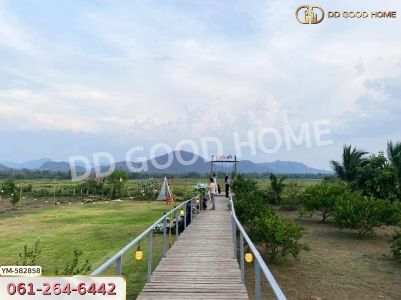 ที่ดิน ไร่สามคำ อ.แม่พริก 20 ไร่ 155 ตร.ว. ลำปาง-5