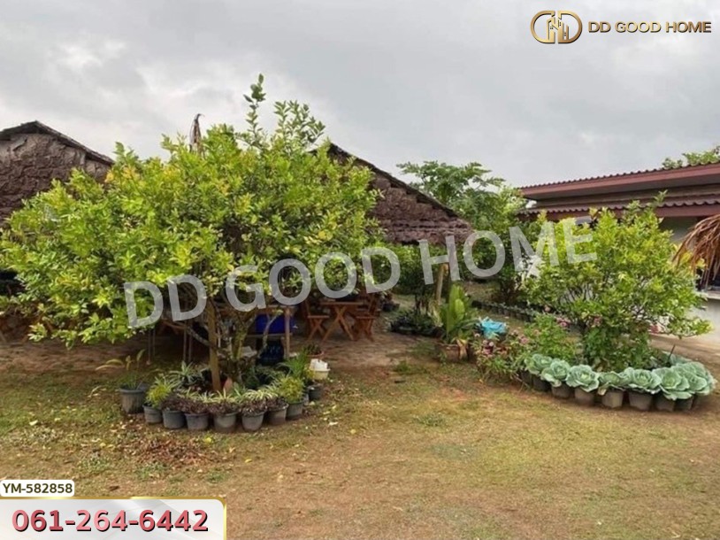 ที่ดิน ไร่สามคำ อ.แม่พริก 20 ไร่ 155 ตร.ว. ลำปาง-7