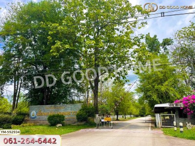 ที่ดิน อ.ดอยสะเก็ด 2 ไร่ 88 ตร.ว. จ.เชียงใหม่-8