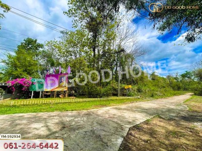ที่ดิน อ.ดอยสะเก็ด 2 ไร่ 88 ตร.ว. จ.เชียงใหม่-7