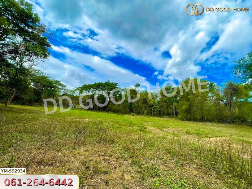 ที่ดิน อ.ดอยสะเก็ด 2 ไร่ 88 ตร.ว. จ.เชียงใหม่-3