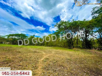 ที่ดิน อ.ดอยสะเก็ด 2 ไร่ 88 ตร.ว. จ.เชียงใหม่-2