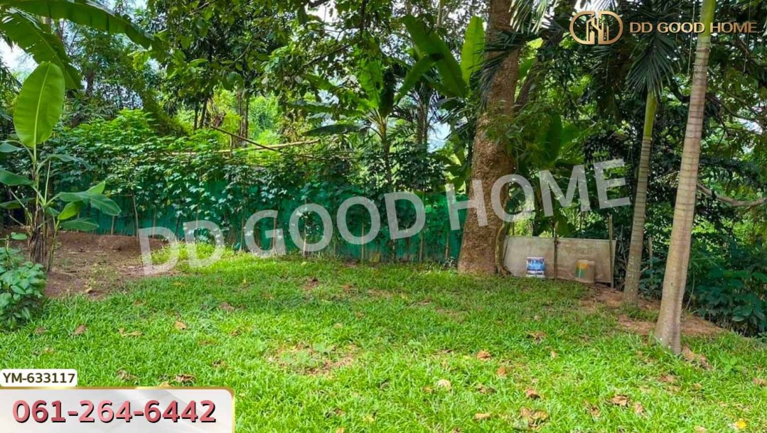 ที่ดิน สันทราย 1 ไร่ 75 ตร.ว. เชียงใหม่-2