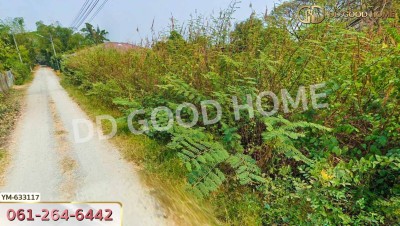 ที่ดิน สันทราย 1 ไร่ 75 ตร.ว. เชียงใหม่-4
