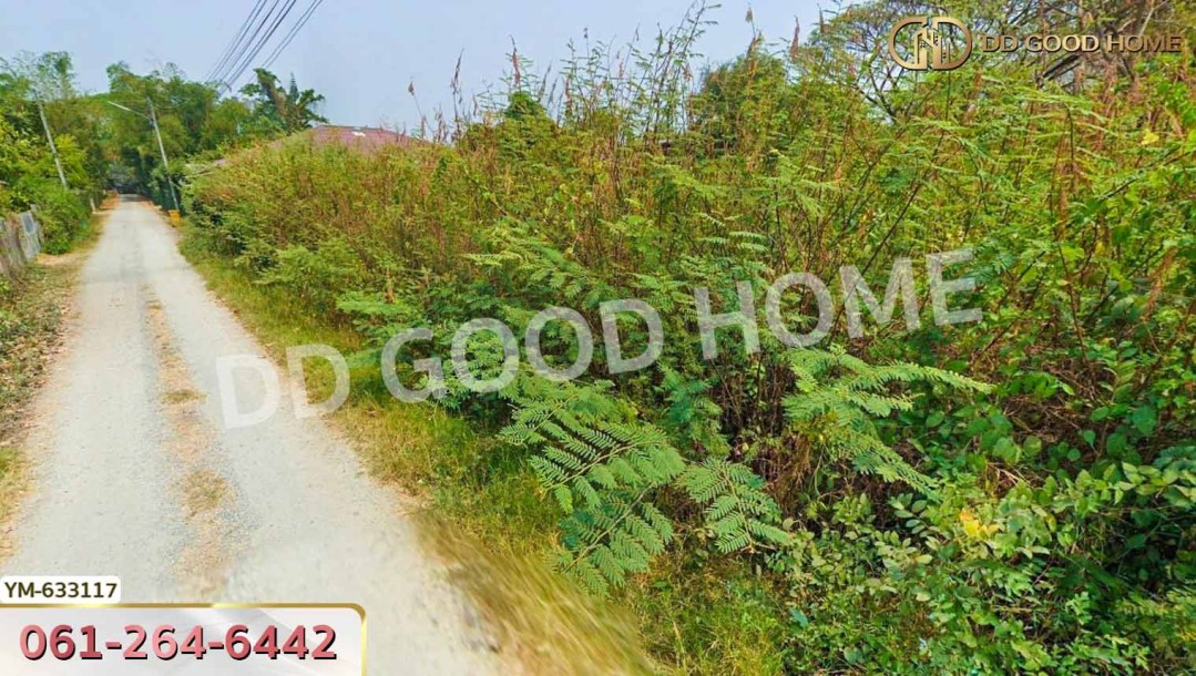 ที่ดิน สันทราย 1 ไร่ 75 ตร.ว. เชียงใหม่-4